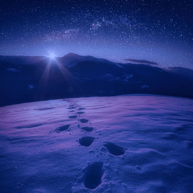 Winter Sky album cover by Obsidian One